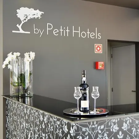 Madeira Bright Star By Petit