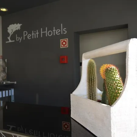 Madeira Bright Star By Petit Hotel 4*